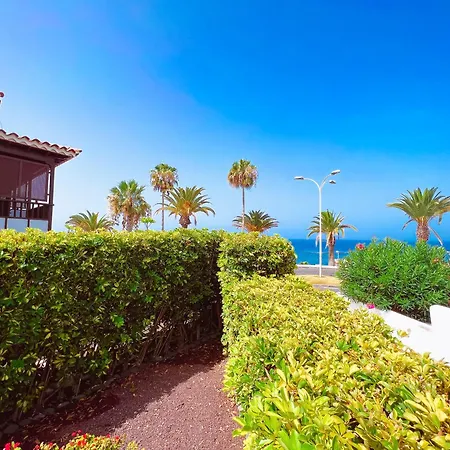 First Line In El Beril Playa Del Duque Pd1 アデヘ